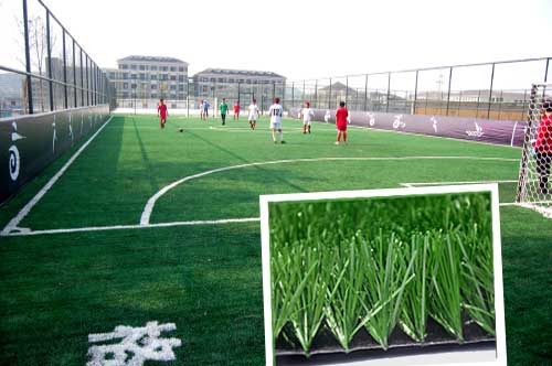 1642756455754426.jpg 1642756455754426.jpg